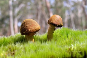 世界游泳接力队国际训练营成果展播与技术点评发布，游泳接力赛夺冠视频