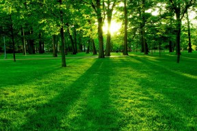 世界游泳锦标赛：自由泳名将夺三金，世界游泳锦标赛100米自由泳